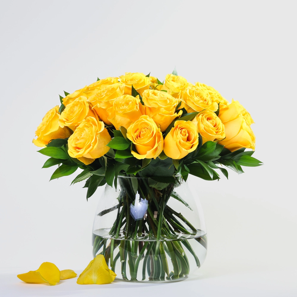 Simply 24 Yellow Roses
