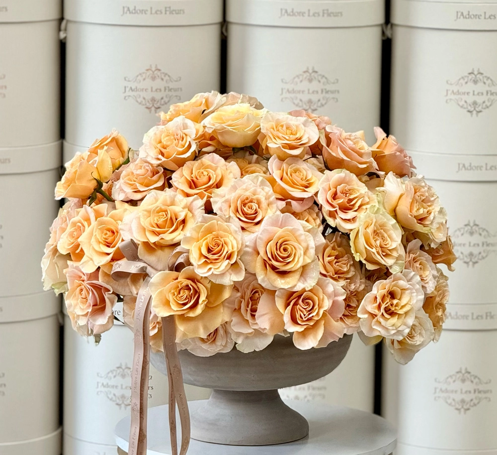 Isabella Peach Roses