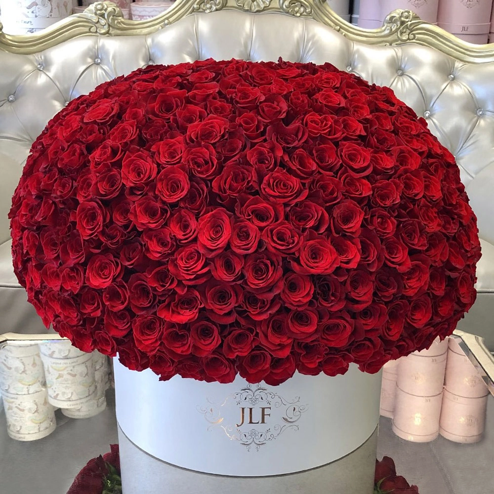 500 Lux Red Roses in Grandiose Box