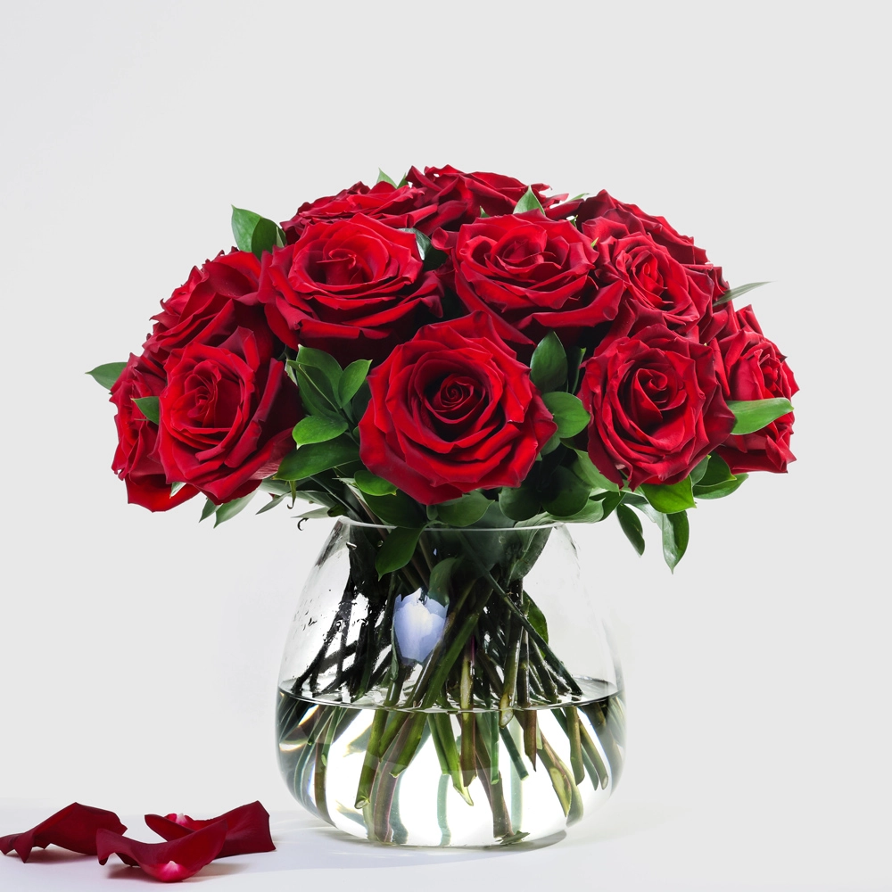 Simply 24 Red Roses