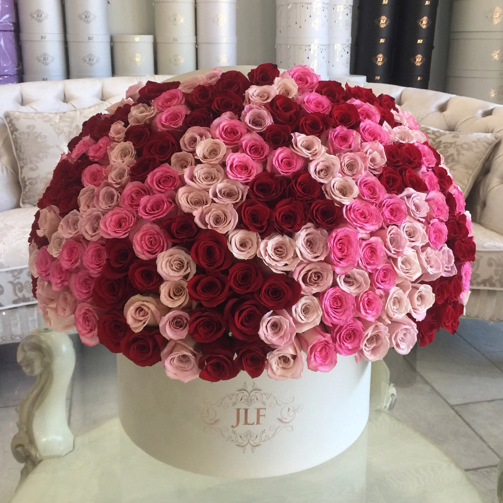 500 Grandiose Red, Pink & Faith Rose Box
