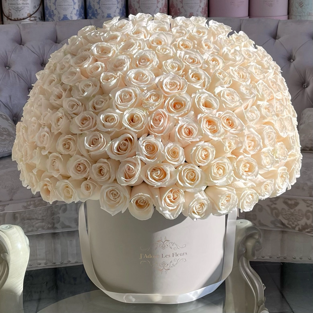 100 White Rose Box