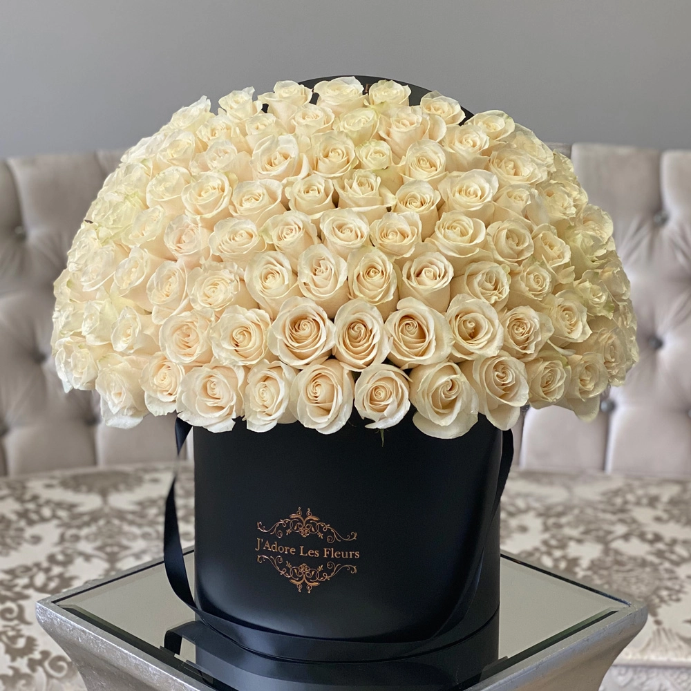 100 White Rose Box