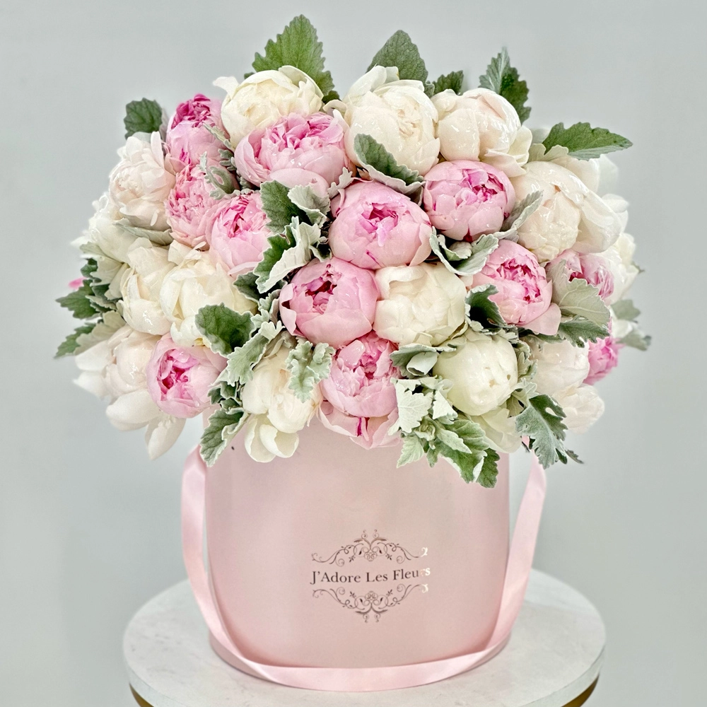 White and Pink Peonies in Box