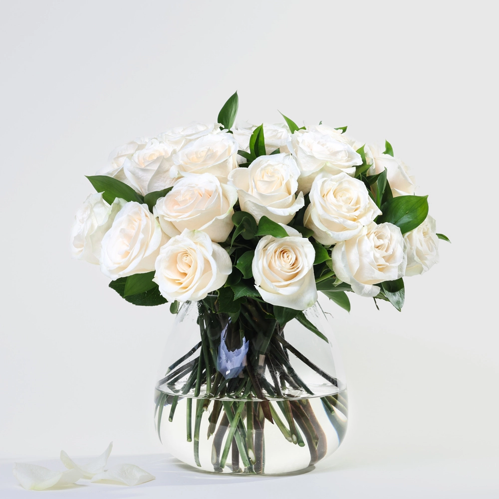Simply 24 White Roses
