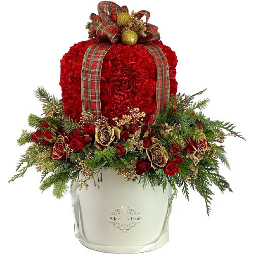 Christmas_flower_2025